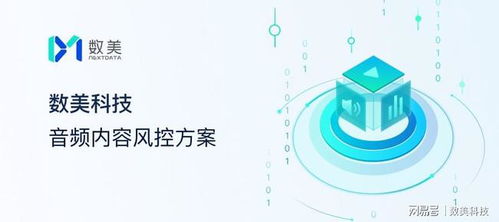 數美科技解讀 絢爛如煙花，Clubhouse們如何才能持續綻放——網絡與信息安全軟件開發之道