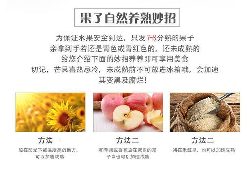 當(dāng)季海南貴妃芒 熱帶甜蜜，整箱直送到家