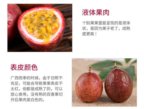 廣西百香果 現摘大果新鮮上市，優質批發直供市場