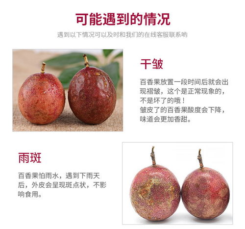 廣西百香果大果3斤現摘新鮮水果批發指南 把握黃金品質，搶占市場先機