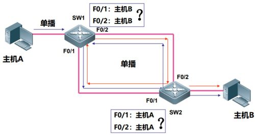 網絡工程管理第三章 交換機STP生成樹協議深入解析